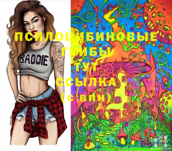 круглые Корсаков