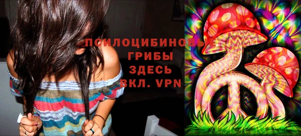 MDMA Premium VHQ Козловка
