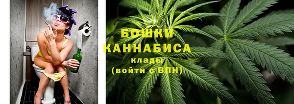 мдпв Костерёво