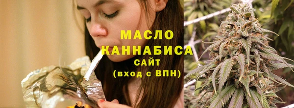 соль ск Козельск
