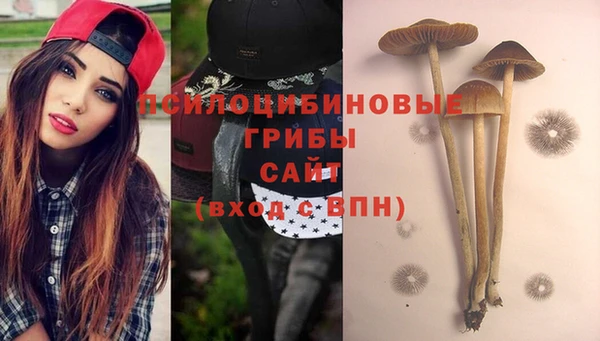 соль ск Козельск