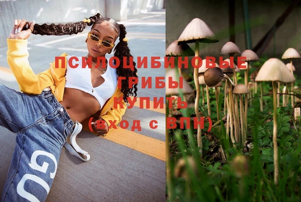 круглые Корсаков