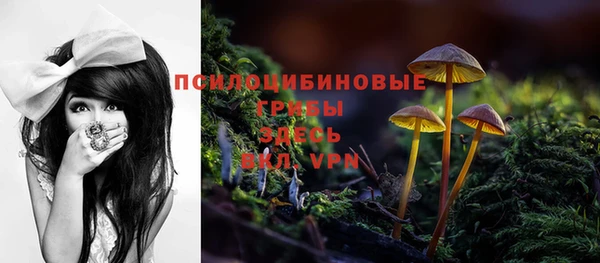 a pvp Кодинск
