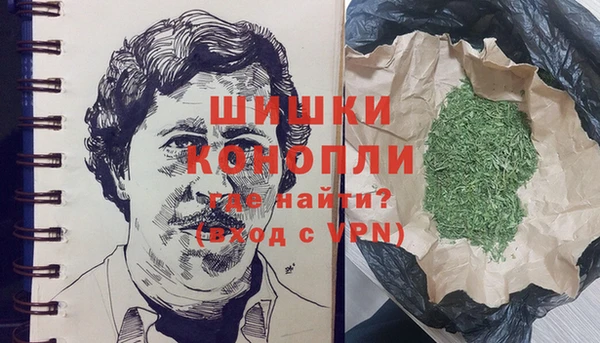 мдпв Костерёво