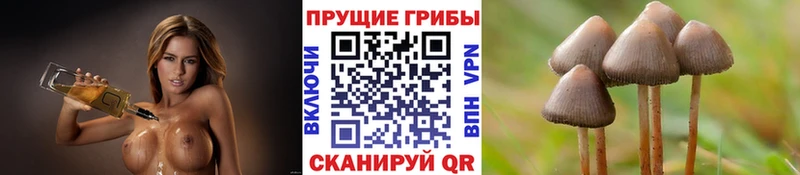 Галлюциногенные грибы мухоморы  Купить  Нерюнгри 